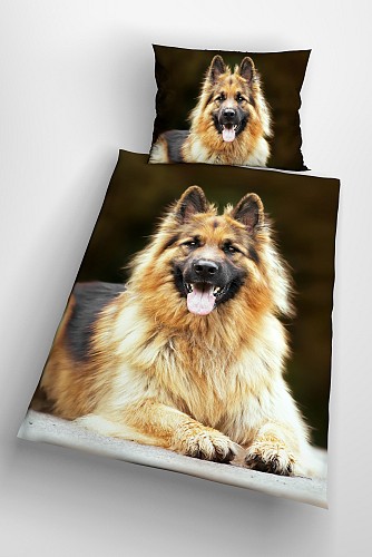 Alsatian